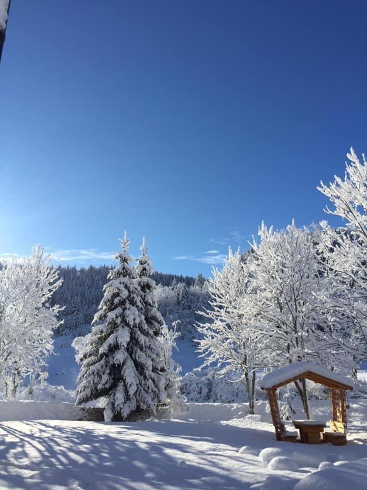 Apartman - Sobe Tiha Luka, Bjelašnica 外观 照片