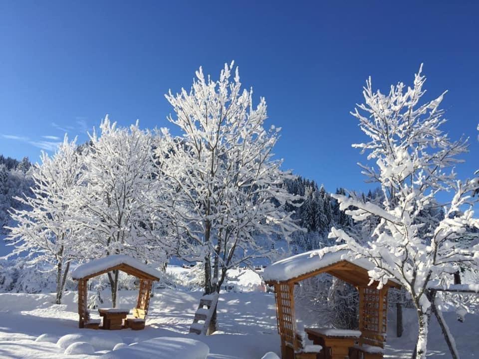 Apartman - Sobe Tiha Luka, Bjelašnica 外观 照片